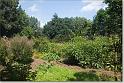 sized_20080809 004
